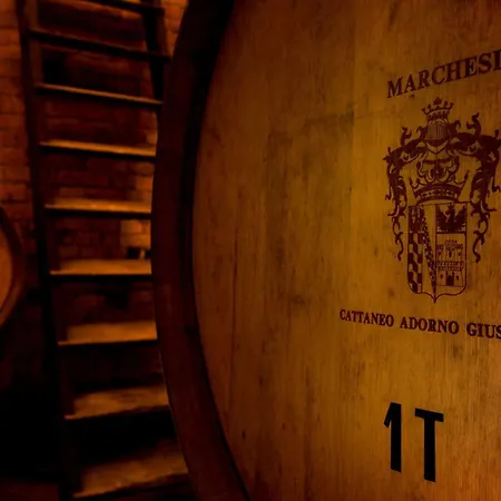 ファームステイ カステッロ ディ ガビアーノ *