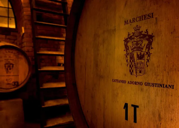 Feriegård Castello Di *